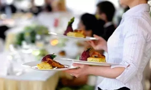 澳大利亚188a移民新思路 以餐饮管理咨询为支点，撬动商业移民之路